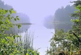 Nach dem Regen / ***