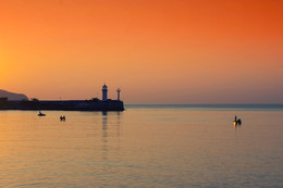  / sony nex7