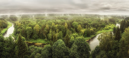 Wald nach dem regen / ***