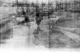  / Ilford pan 100