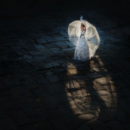 Light in the dark / ***