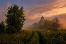 Nebliger Morgen / ***