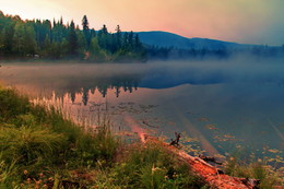 Early Morning / ***