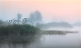 Stille der Morgendämmerung / ***