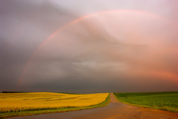 Regenbogen / ***