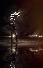 FireShow / ***