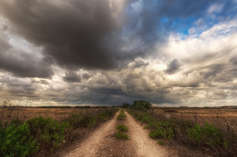 Der Weg zum Himmel / ***