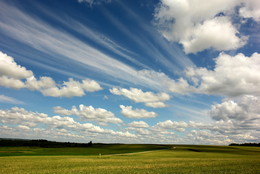 Sommer- / ***