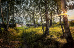Weg / ***