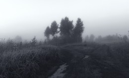  / ***