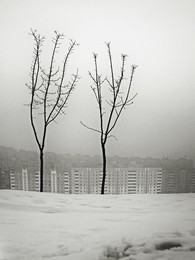 Neu / ***