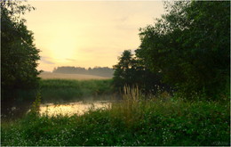 nebligen Morgengrauen / ***