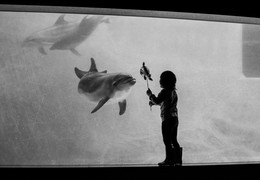  / sony nex7 Kagoshima