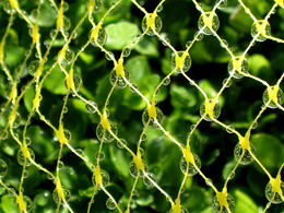 Tropfen / ***