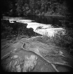  / holga
