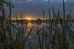 Auf dem See / ***