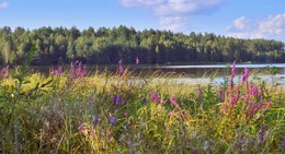 am Ende des Sommers / ***