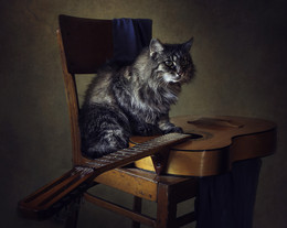 Gitarrist / ***