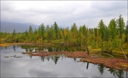 Herbstfarben / ***