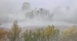 Nebliger Morgen / ***