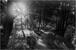die Morgensonne / ***