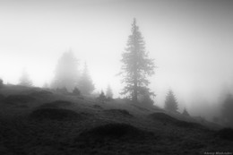Kamjanka / ***