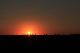Sonnenuntergang / ***