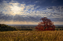 An der Schwelle zum Herbst / ***
