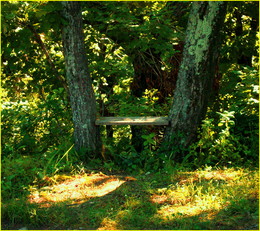 Erinnerungen an den Sommer / ***
