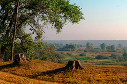 Der Blick von der Klippe / ***