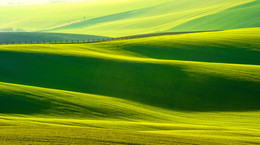 Erinnerungen an den Sommer / ***