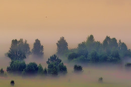 Morgen / .................