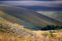 Steppe / ***