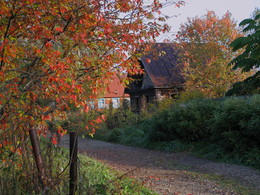 Haus in der Nähe der Straße / ***
