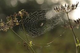 Erwartung / ***