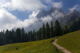 Weg / ***