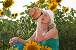 Sommerblumen / ***
