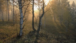 Autumn Sun / ***