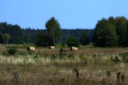 Ein warmer Sommerabend / ***