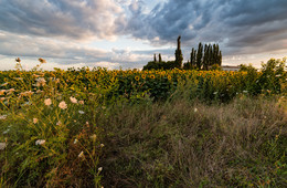 Abend / ***