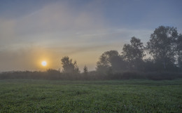 Nebel / ***