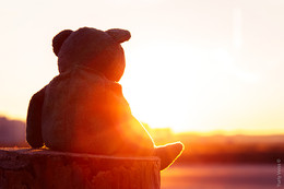 Romantic Teddy Bear / No comments