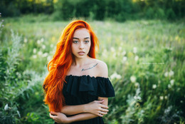 Sun / !!!