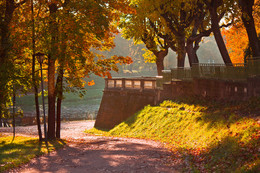 Herbstlicht ... / ***