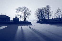 Frost / ***