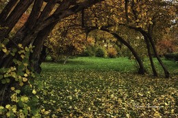 Herbst / ***