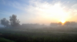 nebligen Morgengrauen / ***