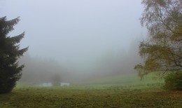 Nebliger Morgen / ***