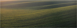  / SEA FIELD