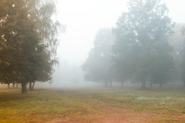 Nebel / ***